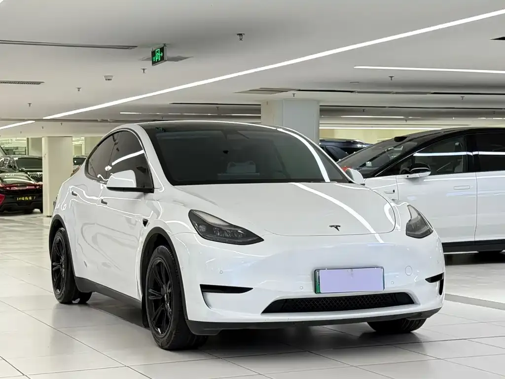 Tesla Model Y — фото 10