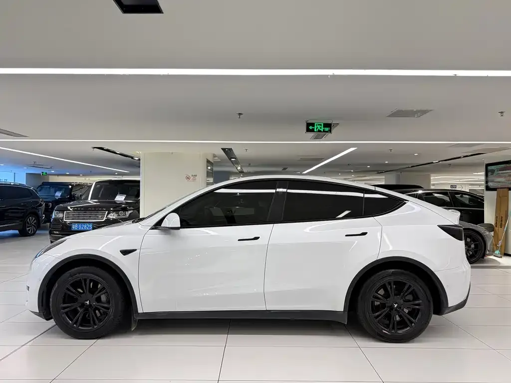Tesla Model Y — фото 5