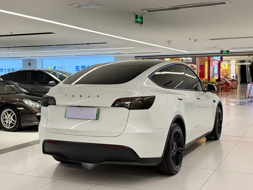 Tesla Model Y — фото 3