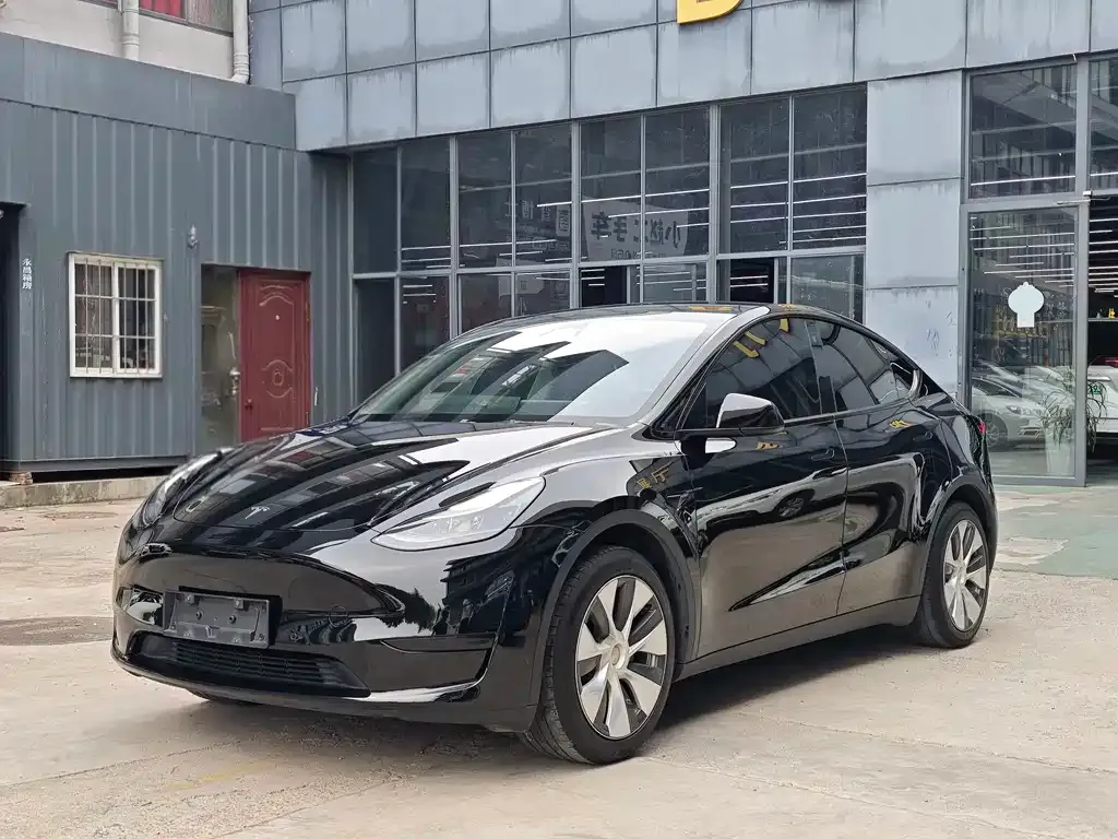 Tesla Model Y — фото 1