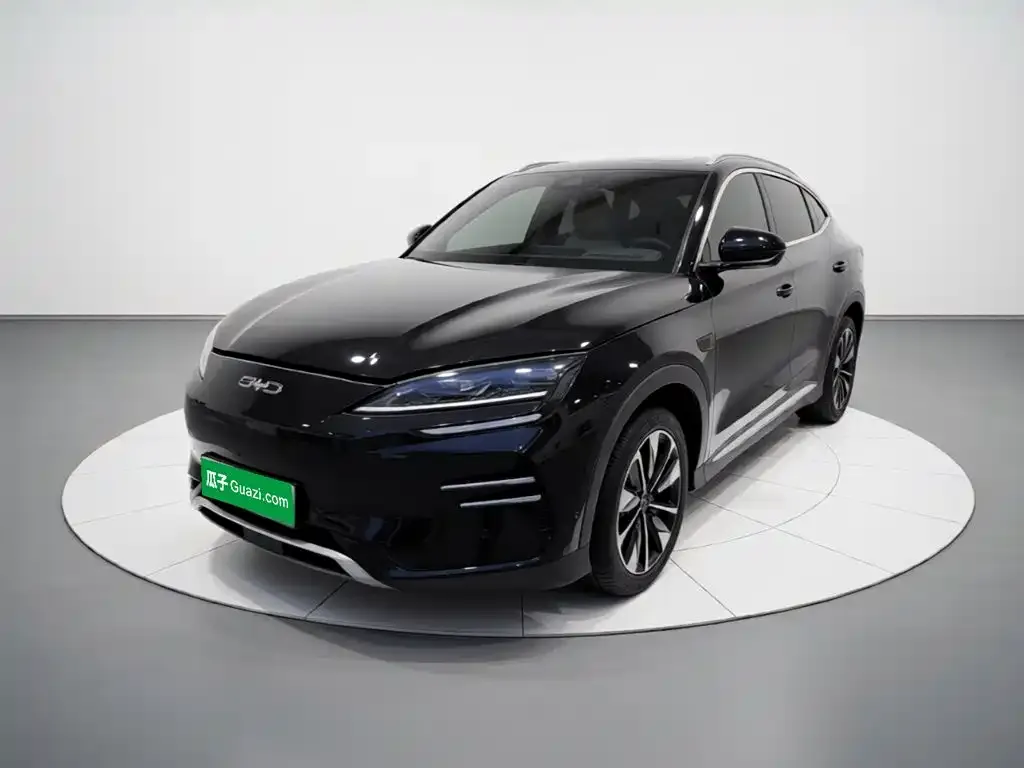 BYD PLUS New Energy — фото 1