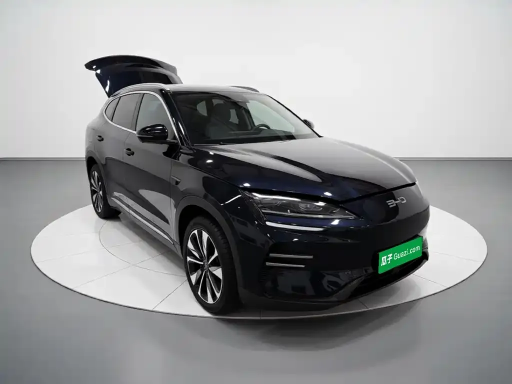 BYD PLUS New Energy — фото 4