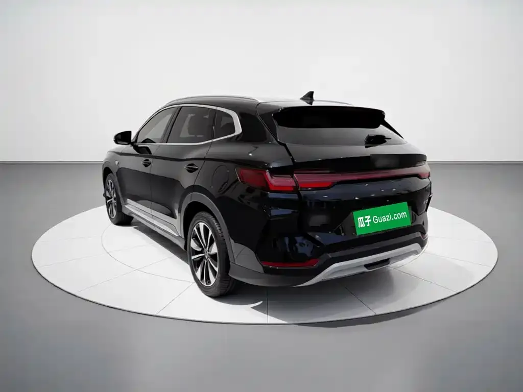 BYD PLUS New Energy — фото 2