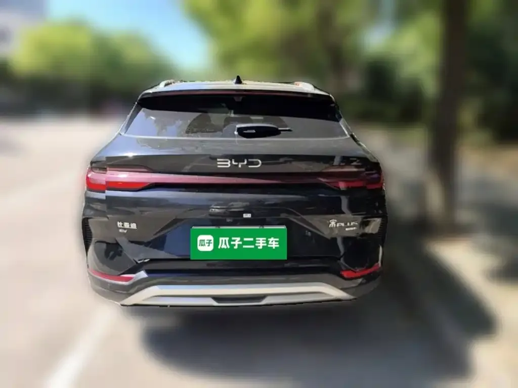 BYD PLUS New Energy — фото 6