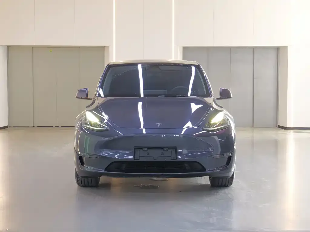 Tesla Model Y — фото 2