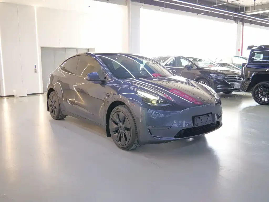Tesla Model Y — фото 10