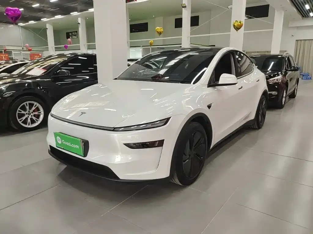 Tesla Model Y — фото 3