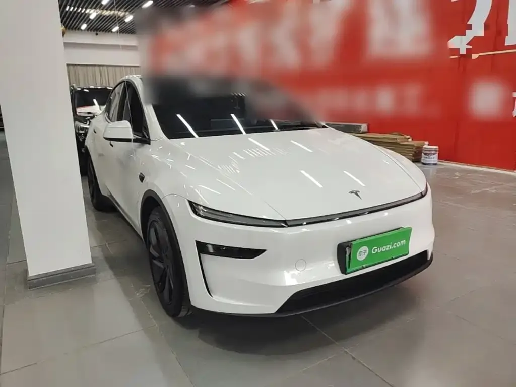 Tesla Model Y — фото 8