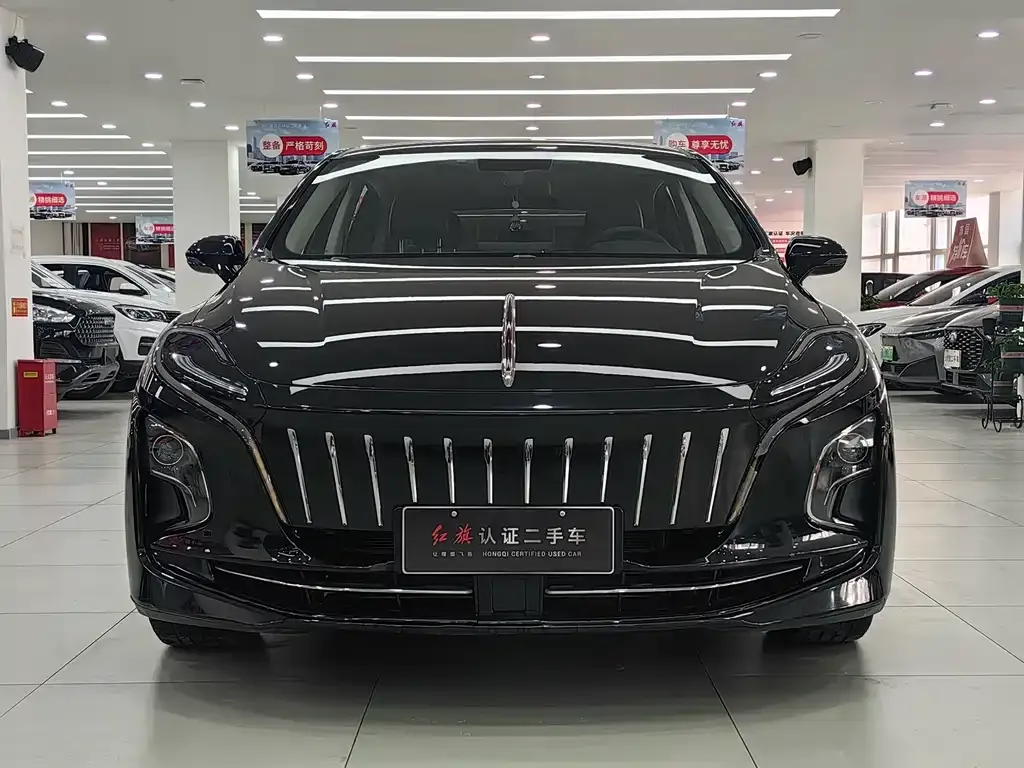Hongqi E-QM5 — фото 7