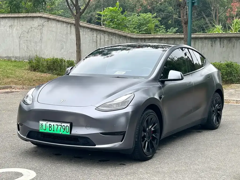 Tesla Model Y — фото 1