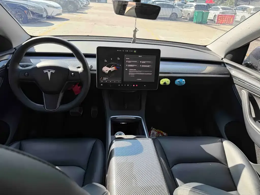 Tesla Model Y — фото 3