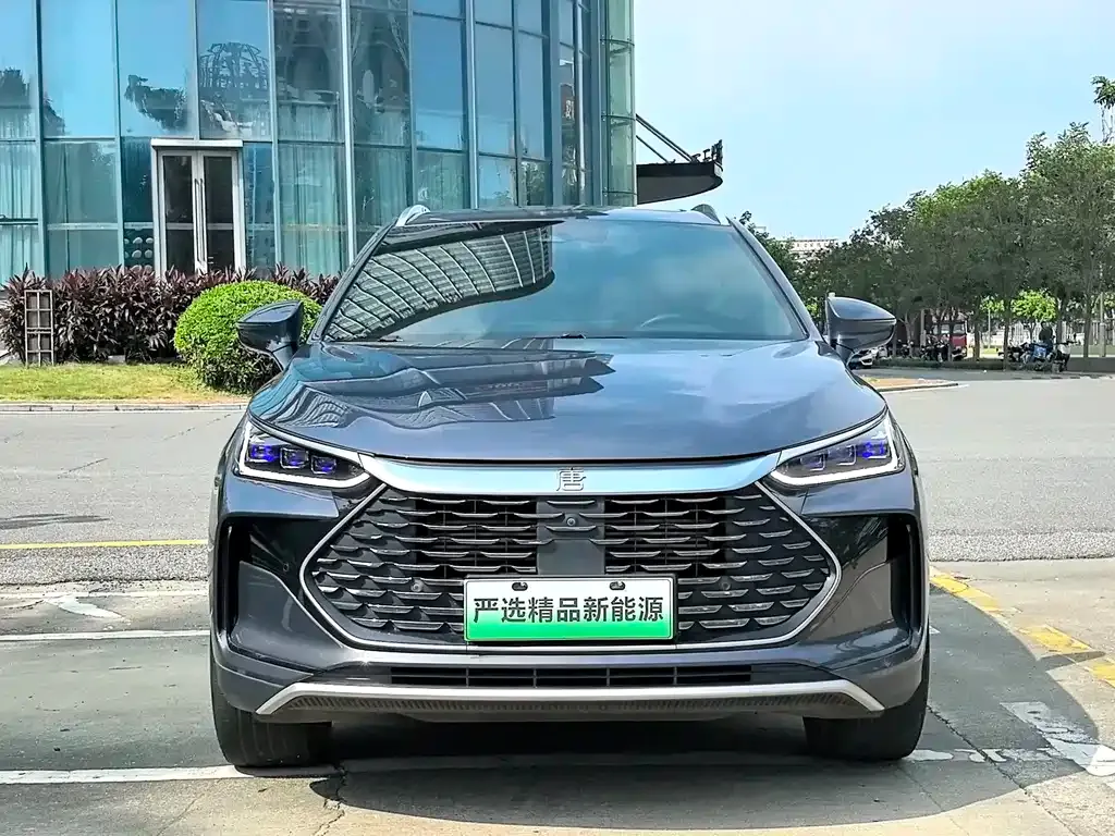 BYD Tang New Energy — фото 10