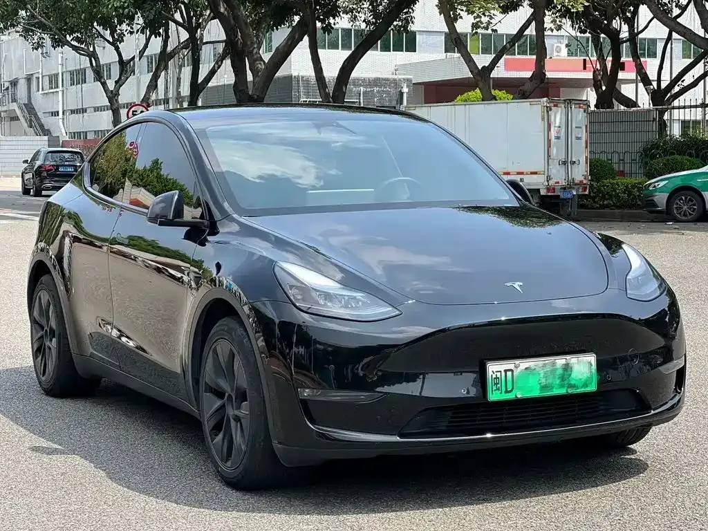 Tesla Model Y — фото 10