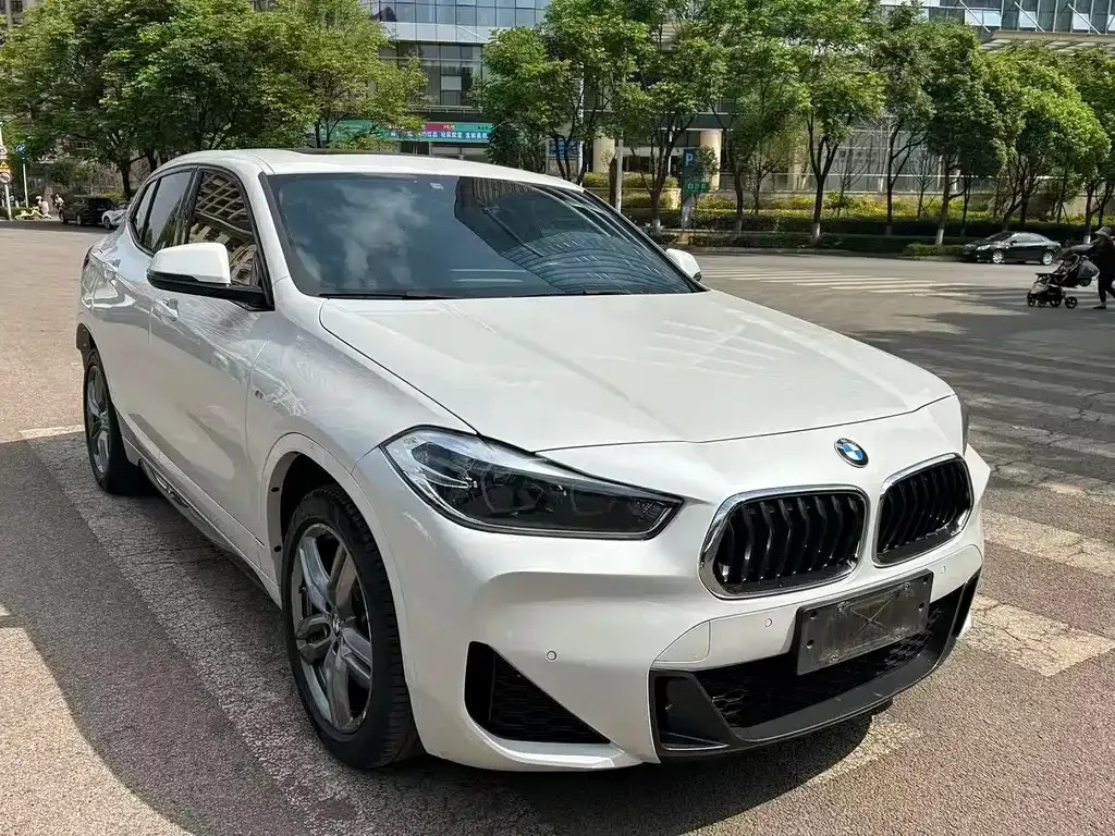BMW X2 — фото 8