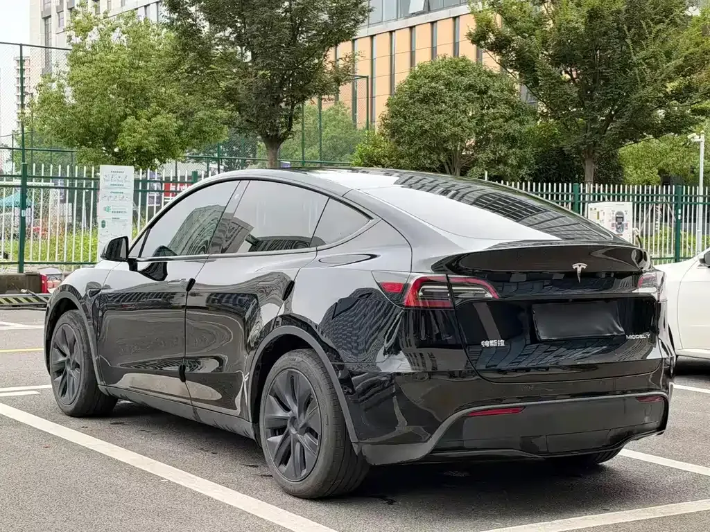 Tesla Model Y — фото 10