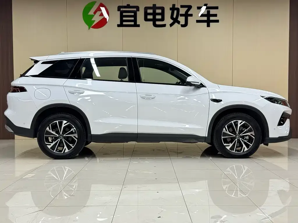 BYD Pro New Energy — фото 10