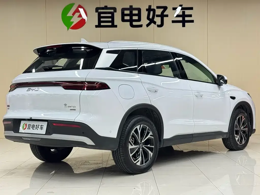 BYD Pro New Energy — фото 6