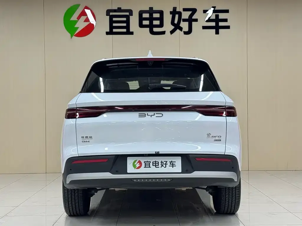 BYD Pro New Energy — фото 3