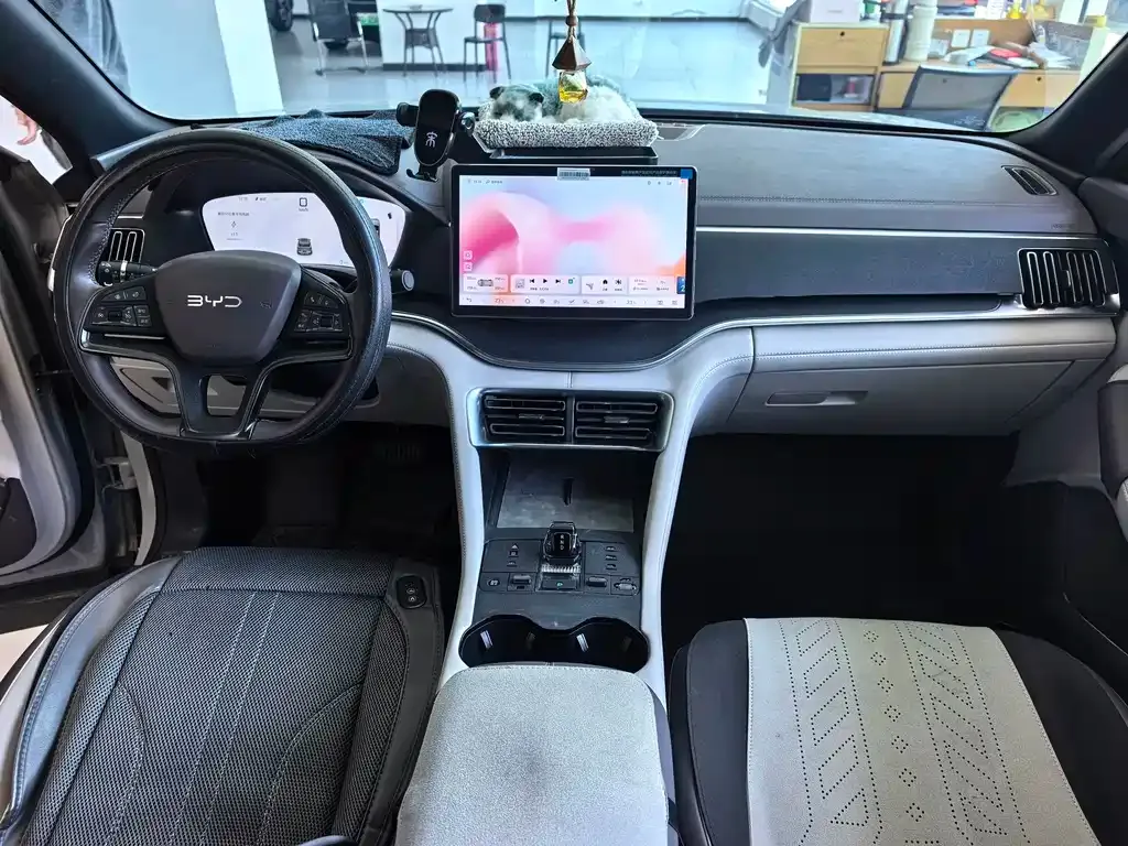 BYD PLUS New Energy — фото 10