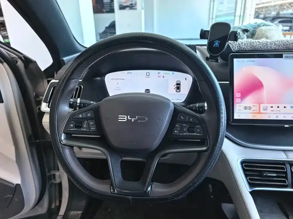 BYD PLUS New Energy — фото 3