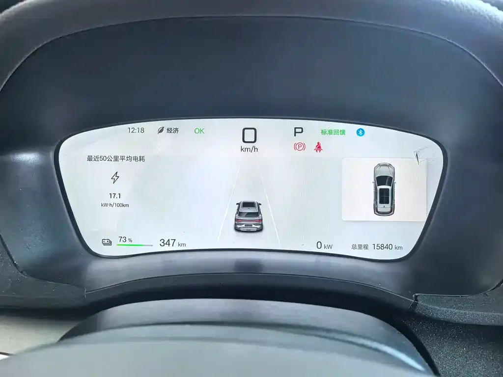 BYD PLUS New Energy — фото 8