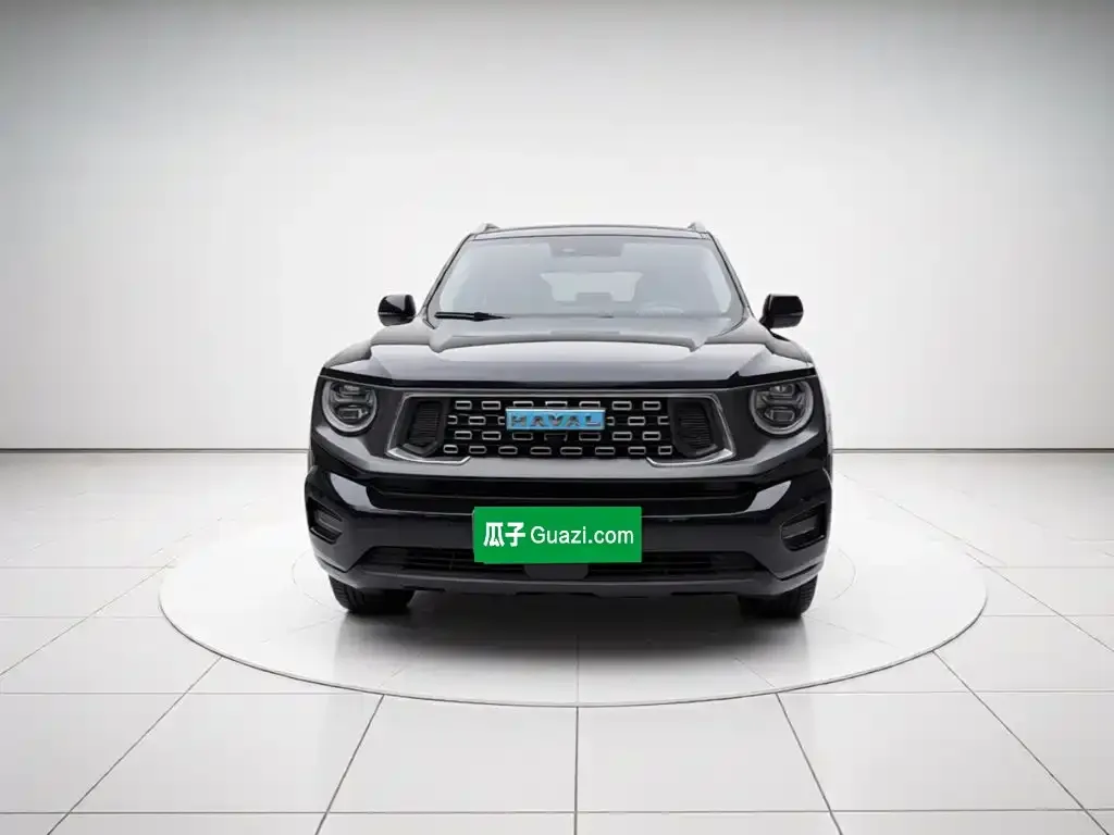 Haval Big Dog PLUS New Energy — фото 4