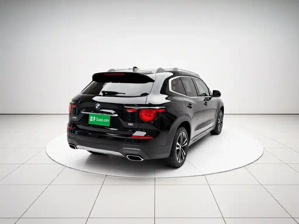 Haval Big Dog PLUS New Energy — фото 8