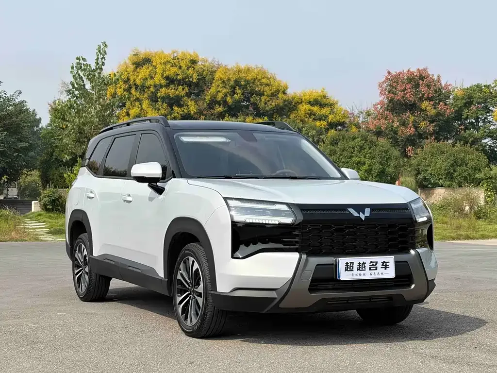 Wuling Xingguang 560 — фото 6