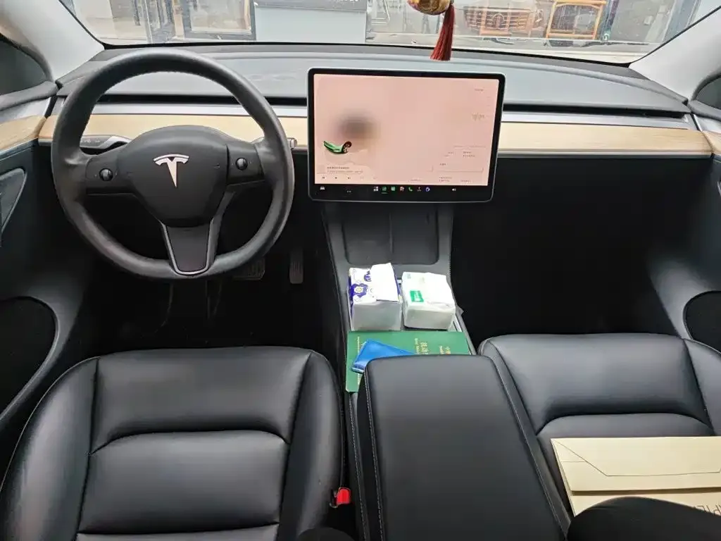 Tesla Model Y — фото 9