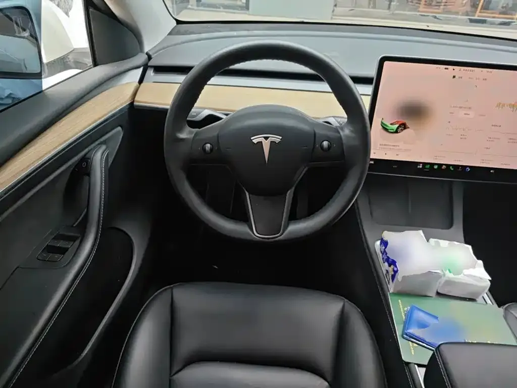 Tesla Model Y — фото 10