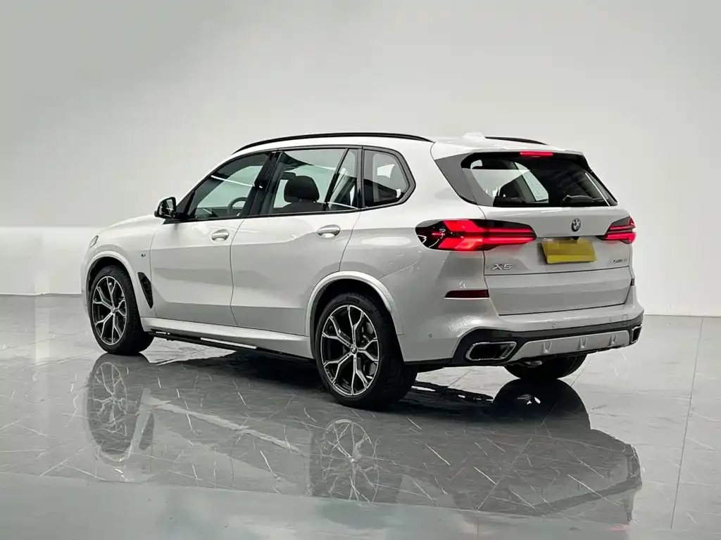 BMW X5 — фото 10