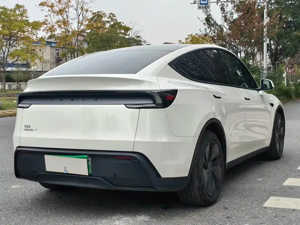 Tesla Model Y — фото 10