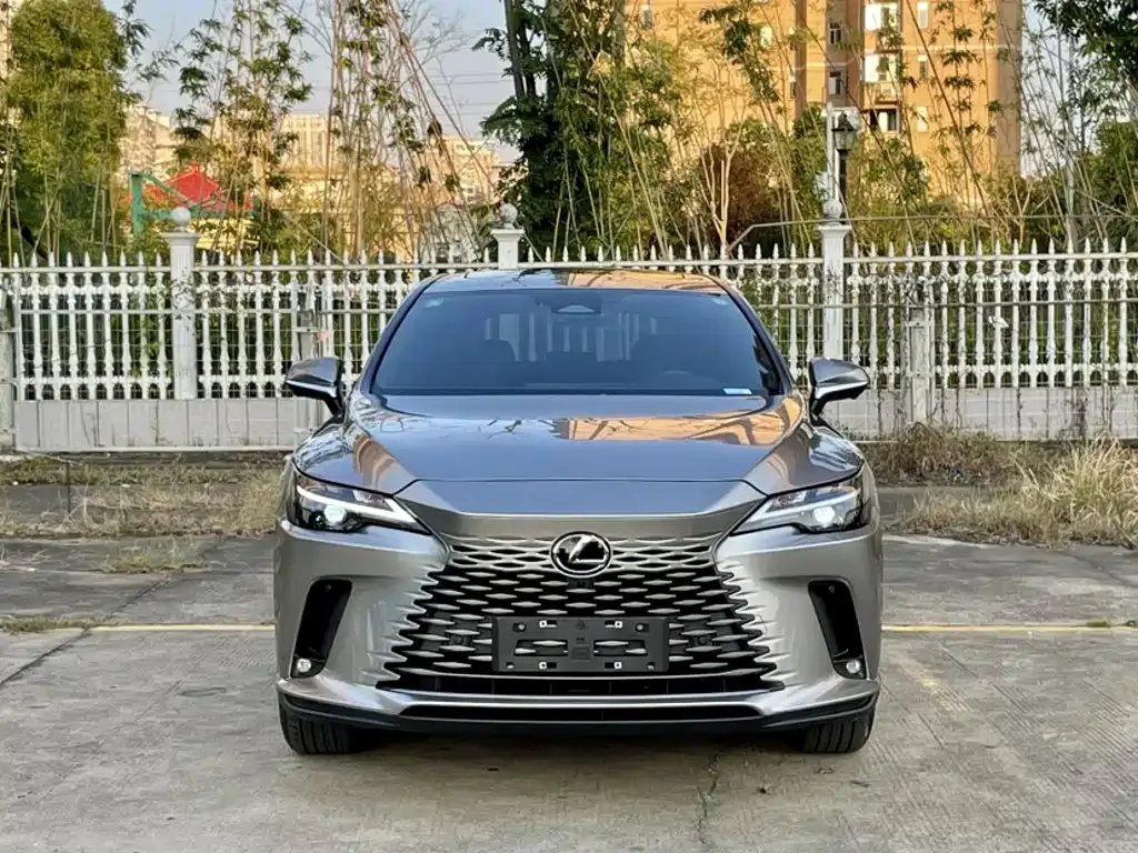 Lexus RX — фото 9