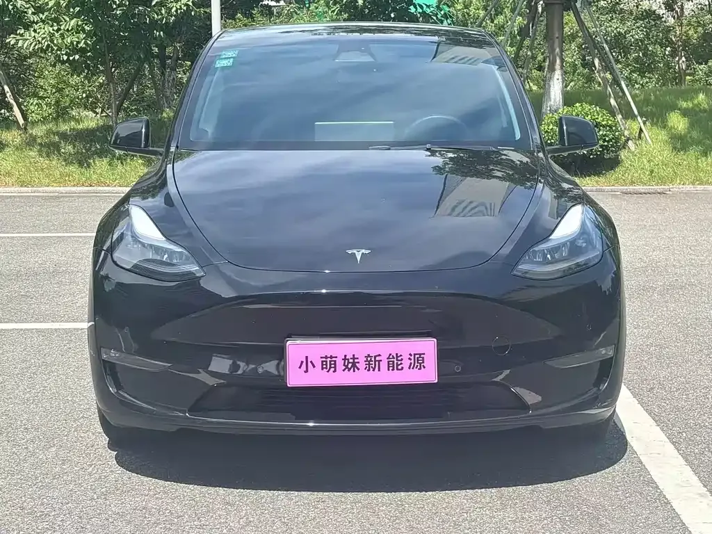 Tesla Model Y — фото 10