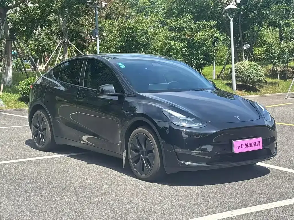 Tesla Model Y — фото 6