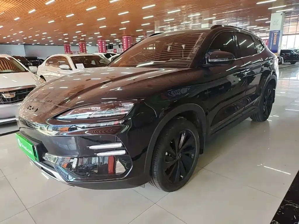 BYD PLUS New Energy — фото 1