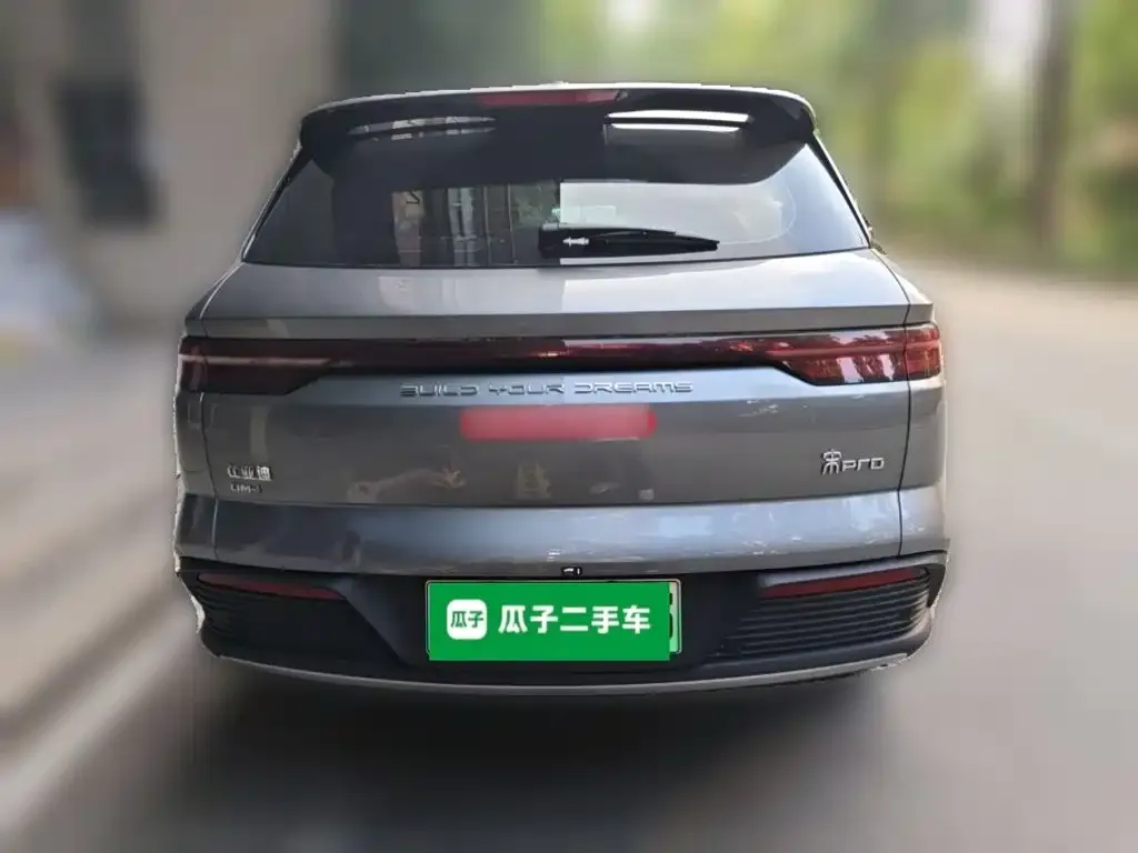 BYD Pro New Energy — фото 10