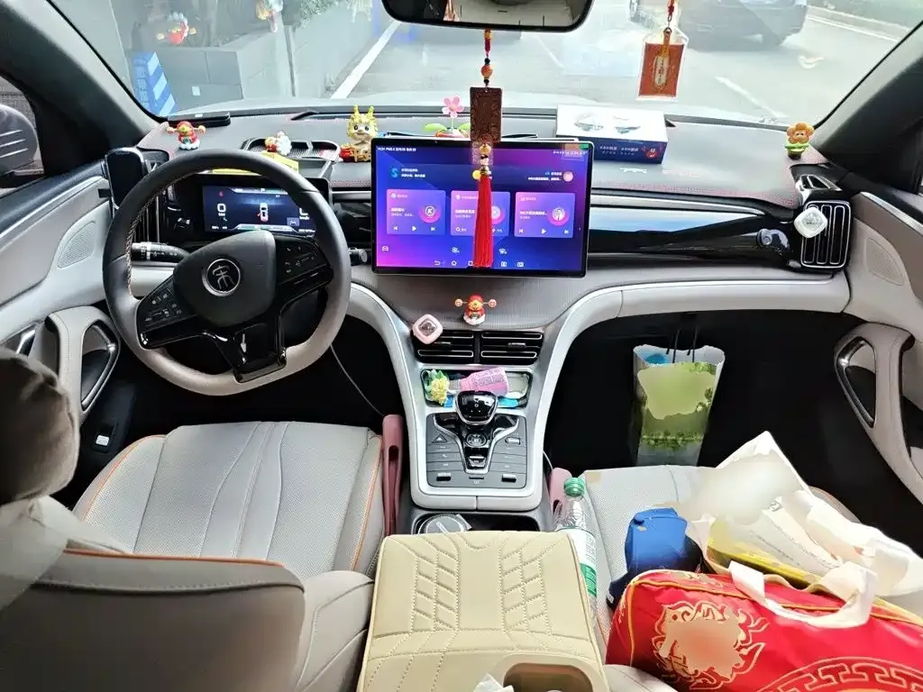 BYD Pro New Energy — фото 6