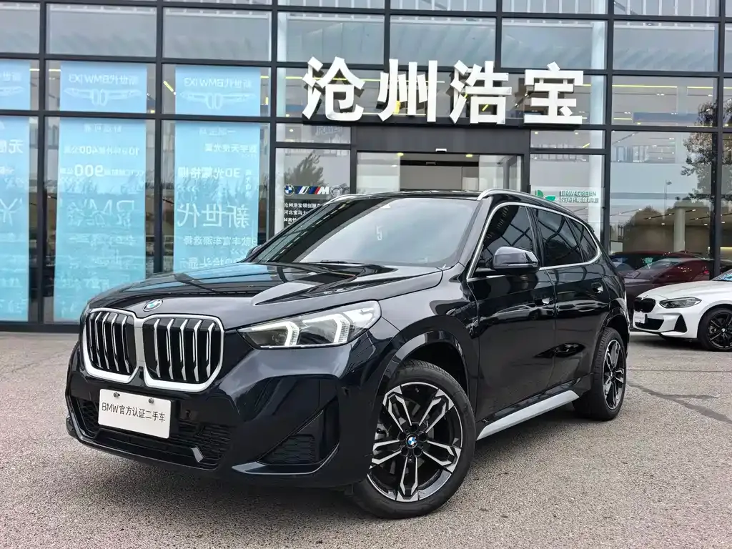 BMW X1 — фото 1