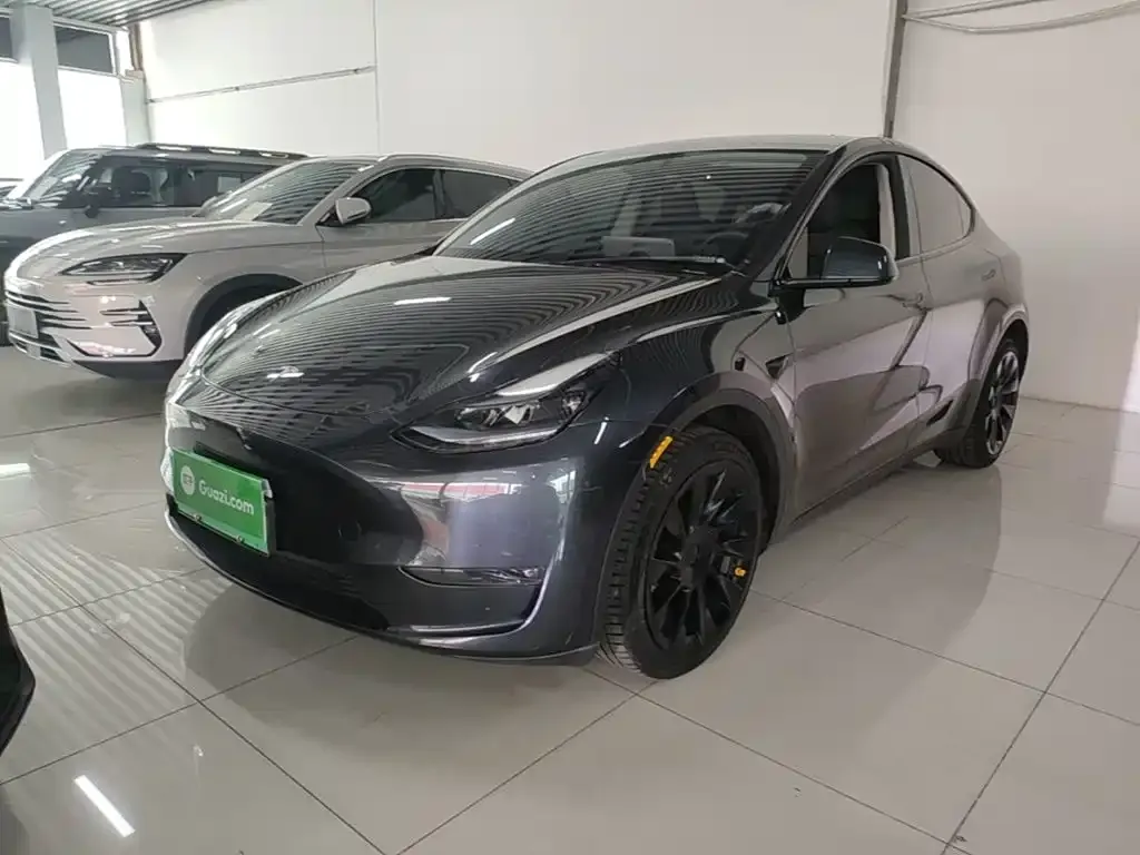 Tesla Model Y — фото 2