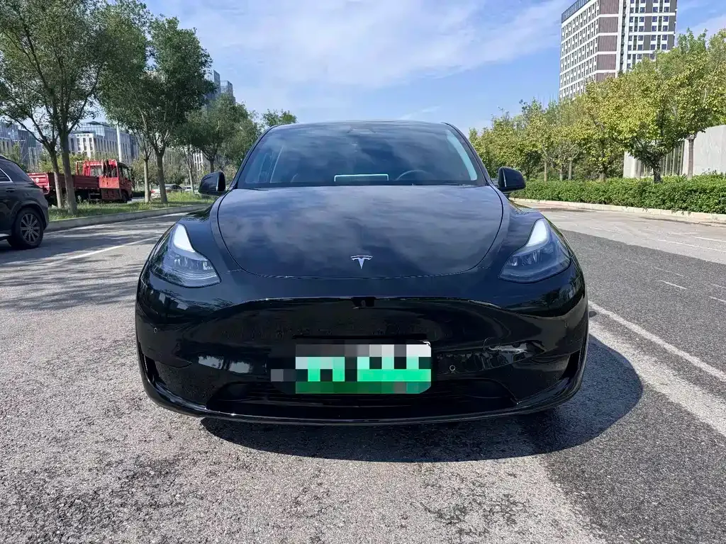 Tesla Model Y — фото 6