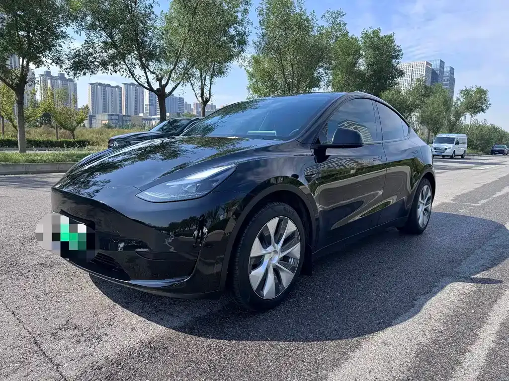 Tesla Model Y — фото 8
