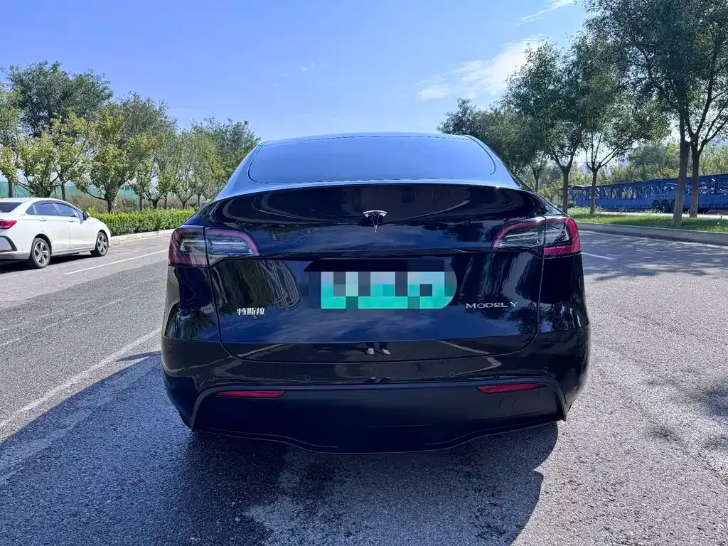 Tesla Model Y — фото 4