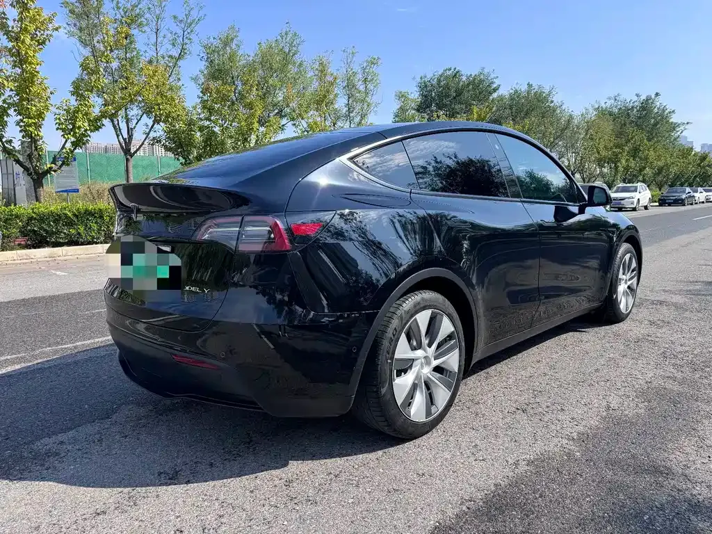 Tesla Model Y — фото 5
