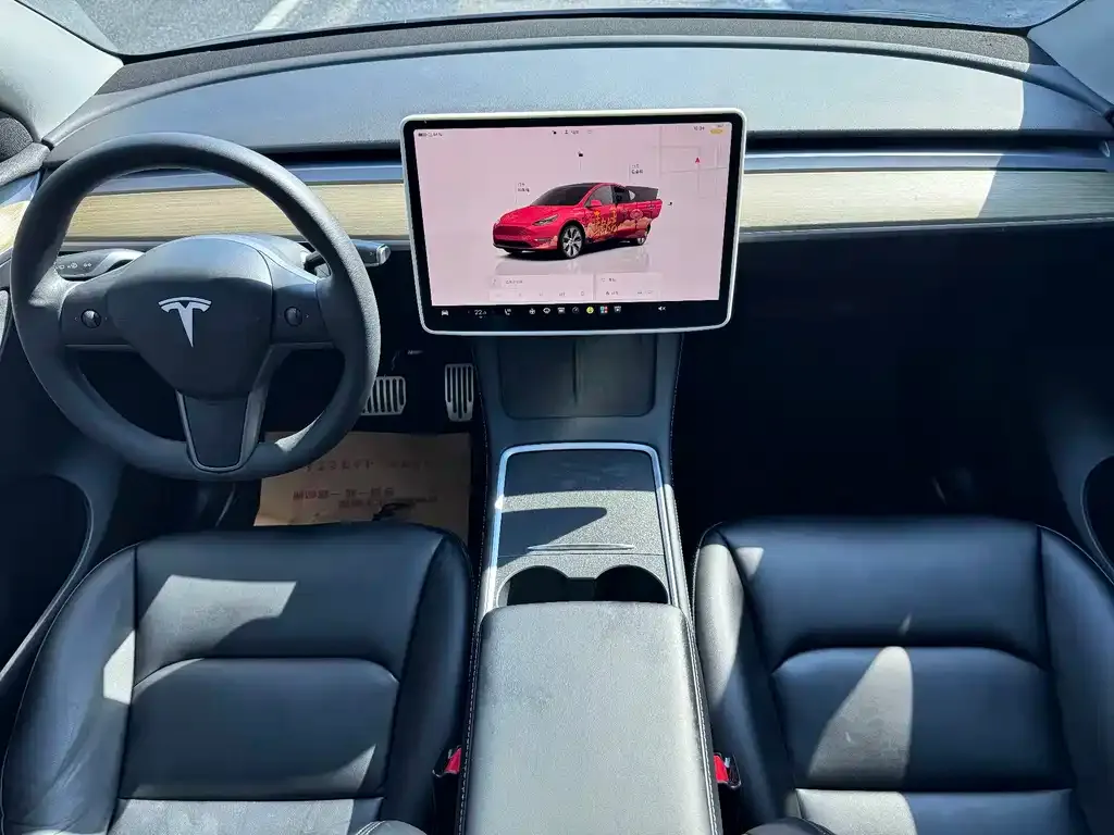 Tesla Model Y — фото 9