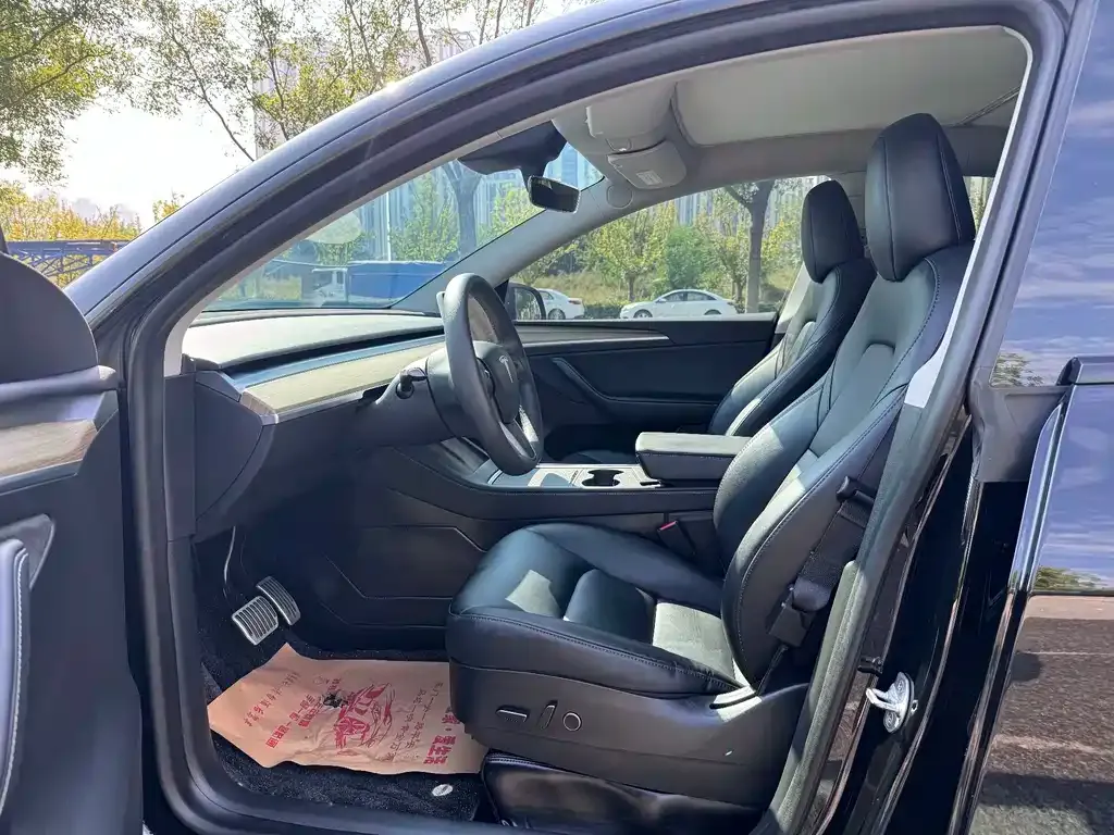 Tesla Model Y — фото 2