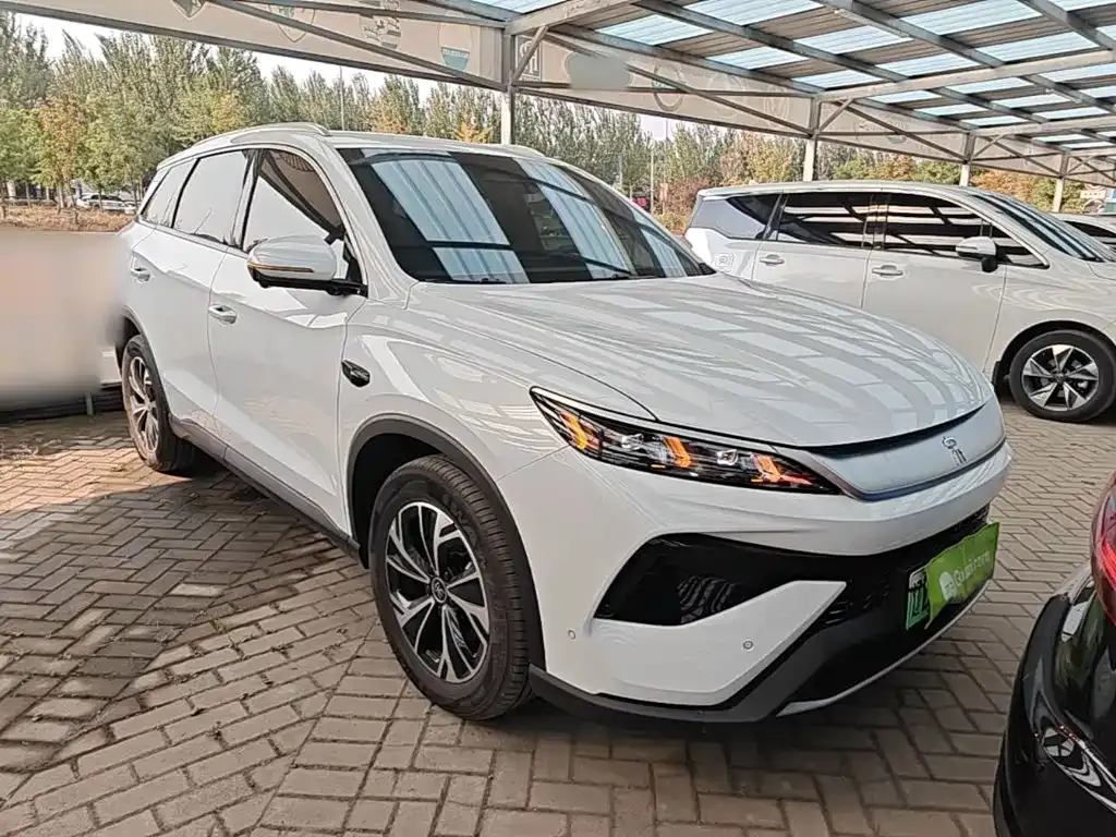 BYD Pro New Energy — фото 4