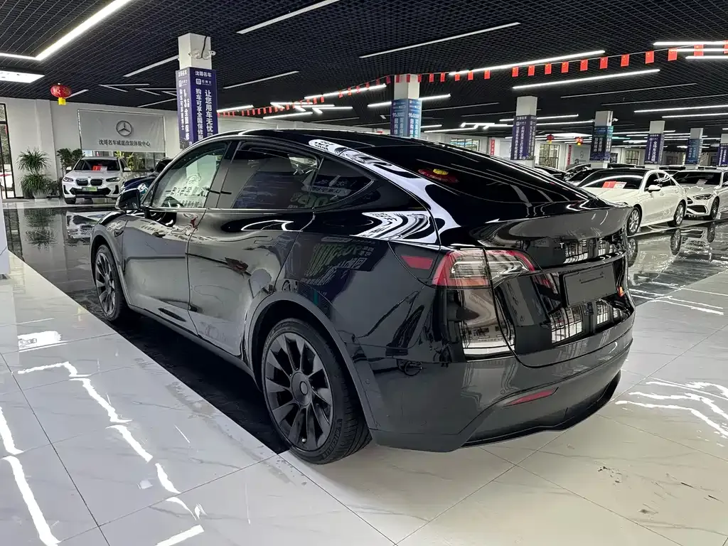 Tesla Model Y — фото 9