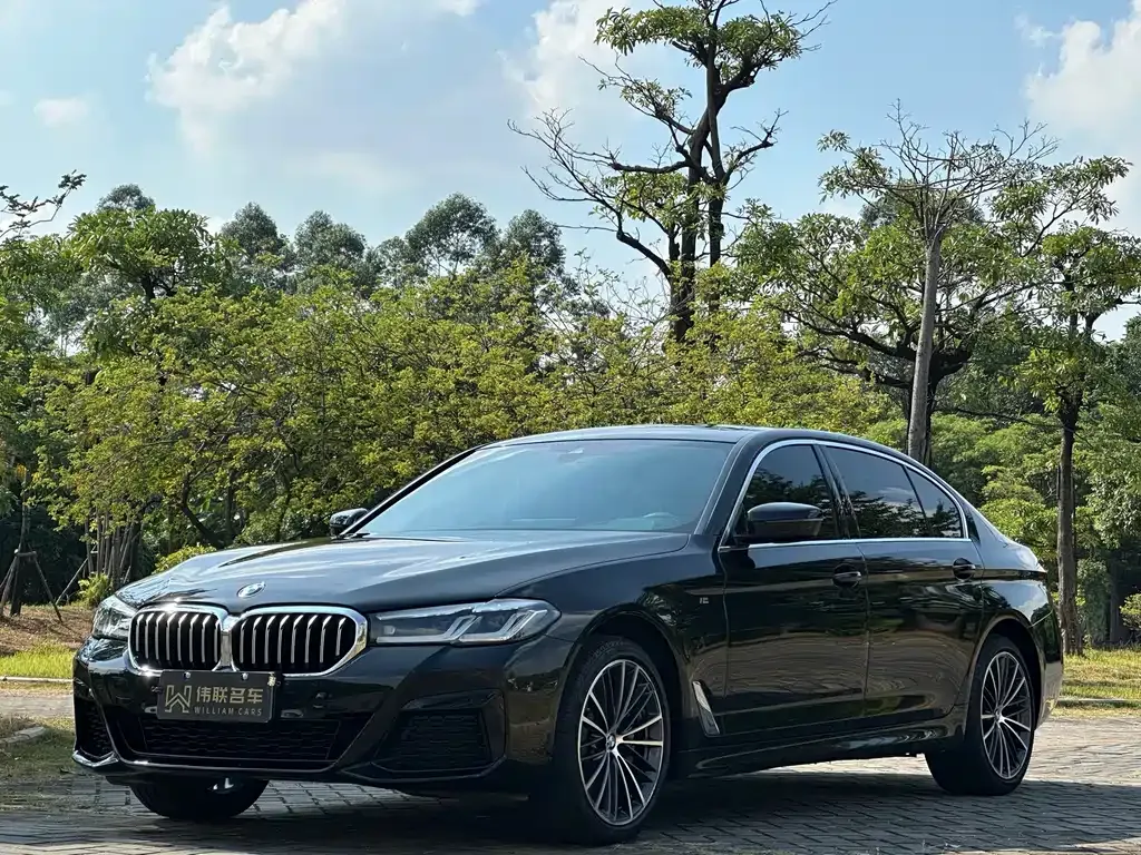 BMW 5 Series — фото 1