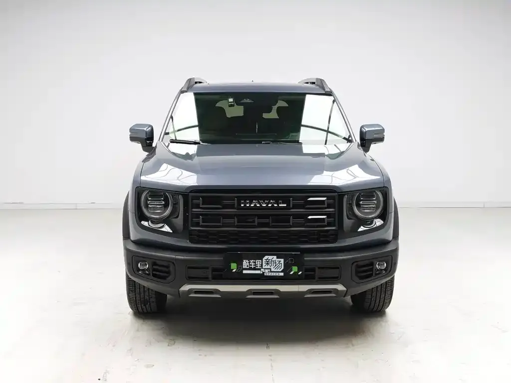 Haval Big Dog — фото 6